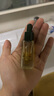蘭（LAN）【董璇同款】蘭3.0時(shí)光油 抗皺保濕修護(hù)舒緩30ml  曬單實(shí)拍圖