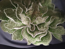 靚汝大號牡丹花刺繡布貼衣服破洞修補丁水溶工藝手感親膚柔軟無膠縫制 H(1個)無膠需縫制 曬單實拍圖