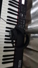 羅蘭（Roland）電鋼琴RD2000/88EX便攜重錘v-stage專(zhuān)業(yè)考級舞臺演奏數碼電子鋼琴 【少量現貨】RD08+U架+單踏+豪禮 曬單實(shí)拍圖