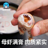 海鮮世家椒鹽風(fēng)味皮皮蝦400g 肉質(zhì)飽滿椒鹽家庭聚餐海鮮蝦爬子 曬單實(shí)拍圖