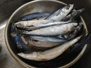 【順豐】生鮮冷凍鮐鲅魚(yú)新鮮海鮮水產(chǎn)青占魚(yú)青花魚(yú)鮐魚(yú)冷凍批發(fā) 五斤小鮐鲅魚(yú)15-22條 曬單實(shí)拍圖