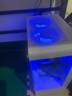速度玩家英特爾酷睿i7升十八核4060電競(jìng)獨(dú)顯組裝臺(tái)式機(jī)電腦主機(jī)游戲辦公Ai設(shè)計(jì)師整機(jī)全套 單主機(jī) E：i9級(jí)24核芯2K暢玩電競(jìng)丨1T丨4050獨(dú)顯 曬單實(shí)拍圖