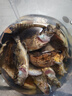 SHIMANO禧瑪諾21款NASCI 納西紡車輪 斜口線杯魚輪 進(jìn)口路亞輪磯釣魚線輪 2500SHG（淺線杯）－速比6.2 曬單實拍圖