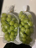 陽光玫瑰葡萄少籽提子新鮮水果3-5斤 果王級12g-14g 五斤 曬單實拍圖