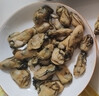 北京同仁堂胖東來品質(zhì)生蠔干貨金蠔干煲湯湛江特大特級生曬不抽油美容養(yǎng)顏 牡蠣新鮮生曬A精品蠔干【30-40個】實惠裝 京官方店東自旗艦營大 曬單實拍圖