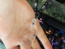 優(yōu)格麗天然白水晶六合吊墜白水晶午丁同壽午丙玄真局掛件護身符 白水晶午未六合貴運-馬羊 曬單實拍圖
