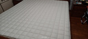 棲作奇遇小彈墊 京倉 0膠水學生宿舍租房彈簧床墊軟硬雙面薄墊1.8*2米 曬單實拍圖