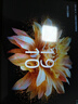 HUAKIN平板電腦2025最新款ipad109全網(wǎng)通5G4K超清網(wǎng)課學習游戲娛樂辦公二合一 深空灰 16pro 16G運行 + 256G內(nèi)存+豪華禮品 4K超清|120Hz高刷|雙卡全網(wǎng)通 曬單實拍圖