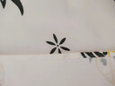 防貓尿床罩可水洗防水隔尿床單沙發(fā)家具蓋布大尺寸防毛防臟防塵罩 【160*230cm】1.2米床使用 曬單實(shí)拍圖