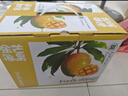 京鮮生 金煌芒果 5斤禮盒裝 單果約400g 生鮮水果 生日禮物 曬單實拍圖