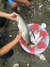 爛樹(shù)根劑大樹(shù)除樹(shù)一滴死一針倒強力除樹(shù)劑殺大樹(shù)爛根王專(zhuān)用藥正品 三瓶裝【見(jiàn)效超快】 100ml 3瓶 曬單實(shí)拍圖
