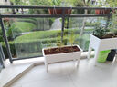 田間小徑陽(yáng)臺種菜盆大號花盆加厚高腳盆家用蔬菜種植箱長(cháng)方形家庭種菜 【3個(gè)優(yōu)惠裝】高腳種菜盆白色 曬單實(shí)拍圖