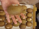 佳沛（zespri）新西蘭  陽光金奇異果25-27粒原箱特大果單果約122-146g  獼猴桃 曬單實拍圖