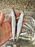 多春魚滿籽新鮮冷凍多籽魚帶籽鮮活燒烤海鮮油炸食材 多春魚3盒24條 曬單實(shí)拍圖