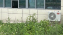 TCL京東聯(lián)名2匹新一級(jí)能效真省電SE掛機(jī)省電空調(diào)冷暖變頻KFR-46GW/JD21+B1國(guó)家補(bǔ)貼以舊換新 曬單實(shí)拍圖