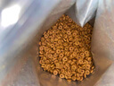 皇家成貓貓糧 營養(yǎng)均衡 F32 通用糧 1-7歲 2KG 曬單實(shí)拍圖