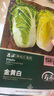 壽禾 黃心大白菜種子苗娃娃菜秋季種蔬菜種籽 金黃白白菜種子10g*3袋 曬單實拍圖