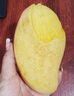 憶京源海南金煌芒水仙芒果 現(xiàn)摘特大果三亞直發(fā)甜心芒 新鮮當(dāng)季孕婦水果 10斤精選大果【凈重9斤】 曬單實拍圖
