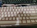CHERRY櫻桃 MX3.0S機(jī)械鍵盤 游戲鍵盤 電競鍵盤 辦公電腦鍵盤 RGB混光鍵盤 合金外殼 無鋼結(jié)構(gòu) 粉色紅軸 曬單實(shí)拍圖