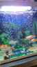 海甲衛(wèi)（HAKAWIN）魚缸氧氣泵超靜音氧氣泵魚缸小型家用增氧泵大氣量 AT-770 曬單實拍圖
