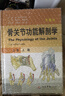 【正版現(xiàn)貨】上肢-骨關(guān)節(jié)功能解剖學(xué)-上卷-第6版 卡潘德吉 人民軍醫(yī)出版社 曬單實(shí)拍圖
