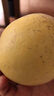 譯優(yōu)農(nóng)山東煙臺(tái)奶油富士蘋果水果新鮮牛奶黃金蘋果時(shí)令當(dāng)季生鮮丑蘋果 帶箱9.5-10斤中果【實(shí)惠裝】 曬單實(shí)拍圖