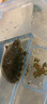 烏龜水腫專(zhuān)用藥腐皮腐甲爛甲白眼病蒙眼真菌感染病全治萬(wàn)能護龜液 200ml 1瓶 【烏龜病全治】 曬單實(shí)拍圖