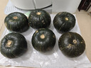 京鮮匠山東貝貝南瓜正宗 栗香小南瓜 香甜粉糯老瓜 蔬菜源頭產(chǎn)地直發(fā) 精品裝 凈 4.5斤 曬單實(shí)拍圖
