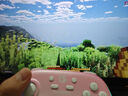 蓋世小雞（GAMESIR）超新星無線游戲手柄帶底座 適用switch2手機(jī)PC安卓Steam電腦NS2pro電視體感藍(lán)牙有線粉色雙人成行 曬單實(shí)拍圖