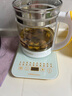 榮事達(dá)（Royalstar）養(yǎng)生壺家用1.8L全自動多功能預(yù)約加厚玻璃花茶壺辦公室小型煮茶器養(yǎng)身壺藥膳壺保溫沖奶粉壺調(diào)奶器 20大功能【濾網(wǎng)口蓋】不帶濾網(wǎng) 1.8L 曬單實(shí)拍圖