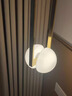 鴻登輕奢中古風(fēng)北歐臥室床頭小吊燈餐廳金色電鍍圓球設(shè)計(jì)師樣板間吊燈 金色D170*H560 曬單實(shí)拍圖