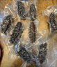 航煌灣有機(jī)即食海參底播遼刺參免發(fā)泡新鮮遼刺參送禮營養(yǎng)健康無添加 5-7頭【1斤】 曬單實(shí)拍圖