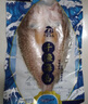 優(yōu)牧冠 新鮮冷凍海鱸魚/河鱸魚隨機(jī) 去鱗去鰓去內(nèi)臟 三去 【開背加大號】500-600g*3條裝 曬單實(shí)拍圖