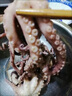 大長(cháng)腿八爪魚(yú)鮮活速網(wǎng)紅爆頭凍商用活的冷凍特大海鮮水產(chǎn) 長(cháng)腿八爪魚(yú)小號20只左右【2斤裝】 曬單實(shí)拍圖