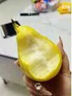 南步甘肅太婆梨【順豐到家】軟糯香甜香蕉梨大頭梨茄梨軟梨水果禮盒 凈重5斤精選大果【約10-12個(gè)】 曬單實(shí)拍圖