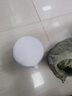科技布雙拼色小凳子家用客廳玄關沙發(fā)凳茶幾方行小板換鞋凳矮凳 隨機拼色 曬單實拍圖