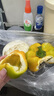 京鮮生 山東三色彩椒 圓椒甜椒新鮮蔬菜 凈重3斤源頭直發(fā)包郵 曬單實(shí)拍圖