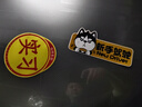 貝傅特汽車實習(xí)標(biāo)志車貼磁吸新手司機統(tǒng)一反光實習(xí)車標(biāo)磁性貼紙2片裝 曬單實拍圖