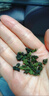 接運貓安吉白茶【一斤】2025新茶特級珍稀口糧綠茶正宗明前春茶嫩芽茶葉 250克半斤裝 正宗安吉白茶 曬單實(shí)拍圖