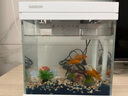 森森（SUNSUN）超白魚(yú)缸一體缸自循環(huán)客廳水族箱桌面家用懶人免換水小型金魚(yú)缸 超白HEJ250標(biāo)配+小橋流水景 曬單實(shí)拍圖