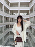 CinvaiKrose【趙昭儀同款】包包女包2025新款保齡球斜挎包生日七夕情人節(jié)禮物 咖啡色【送女友老婆女生禮物走心】 曬單實拍圖