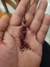 慈靈閣朱砂貔貅汽車鑰匙扣掛件男士平安財(cái)運(yùn)貔貅車鑰匙扣女創(chuàng)意高檔掛飾 曬單實(shí)拍圖