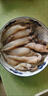 海兔子滿籽筆管魚(yú)鮮活冷凍籽烏章魚(yú)新鮮墨魚(yú)仔小魷魚(yú)烏賊 3斤 曬單實(shí)拍圖