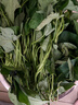 食藝鮮（SHIYIXIAN）紅薯葉新鮮葉子 地瓜葉嫩尖農(nóng)家自種食用番薯葉苕尖蔬菜 1500g 曬單實(shí)拍圖