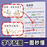 初中必背文言文漫畫筆記（全3冊(cè)）2025版中考語文基礎(chǔ)知識(shí)大全必備古詩(shī)詞小古文文學(xué)常識(shí)大集結(jié)真題訓(xùn)練 曬單實(shí)拍圖