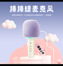 貓王收音機(jī)貓王靈感棒棒糖麥克風(fēng)音響唱歌小話筒一體K歌家用KTV直播唱歌直播錄音藍(lán)牙音箱 奶鹽白 曬單實(shí)拍圖