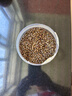 寶椿堂熟決明子中藥材正宗炒熟決明子茶干貨茶包和荷葉陳皮山楂泡茶泡水 【大罐】【1罐】熟決明子500克 曬單實(shí)拍圖