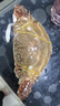 梭子蟹鮮活特大野生舟山大螃蟹海鮮新鮮冷凍海蟹水產(chǎn)飛蟹白蟹順豐 7-9兩/只 【凈重5斤特大梭子蟹】 曬單實(shí)拍圖