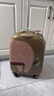 新秀麗（Samsonite）行李箱16英寸拉桿箱灰棕色樹(shù)懶兒童旅行箱包U22拉鏈箱登機箱 曬單實(shí)拍圖