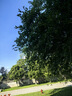 德瑪納【簡約款開叉短袖T】夏款減齡出挑直角肩修身收腰短袖 曬單實拍圖